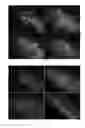 Fig. 09 - Thrombin-binding antibody molecules