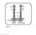 Fig. 04 - Non-natural MIC proteins