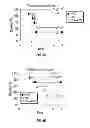 Fig. 07 - IMMUNOGENIC PROTEIN CONJUGATES AND METHOD FOR MAKING AND USING THE SAME