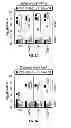 Fig. 08 - IMMUNOGENIC PROTEIN CONJUGATES AND METHOD FOR MAKING AND USING THE SAME