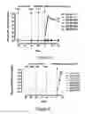 Fig. 04 - Pharmaceutical compositions comprising inactivated HIV viral particles and non-pathogenic lactobacilli for the induction of antigen-specific immunotolerance
