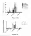 Fig. 07 - Pharmaceutical compositions comprising inactivated HIV viral particles and non-pathogenic lactobacilli for the induction of antigen-specific immunotolerance