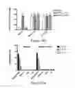 Fig. 08 - Pharmaceutical compositions comprising inactivated HIV viral particles and non-pathogenic lactobacilli for the induction of antigen-specific immunotolerance