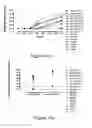Fig. 20 - Pharmaceutical compositions comprising inactivated HIV viral particles and non-pathogenic lactobacilli for the induction of antigen-specific immunotolerance