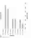 Fig. 10 - METHODS AND COMPOSITIONS FOR LIVE ATTENUATED VIRUSES