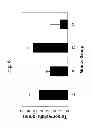 Fig. 07 - YEAST-BASED VACCINES AS IMMUNOTHERAPY