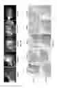 Fig. 09 - CONJUGATED POLYMERIC MATERIAL AND USES THEREOF