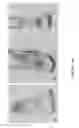 Fig. 02 - COMPOSITIONS AND METHODS FOR DENTAL TISSUE REGENERATION