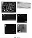 Fig. 09 - COMPOSITIONS AND METHODS FOR DENTAL TISSUE REGENERATION