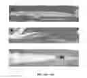 Fig. 22 - COMPOSITIONS AND METHODS FOR DENTAL TISSUE REGENERATION