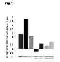 Fig. 02 - Ophthalmic Aqueous Composition