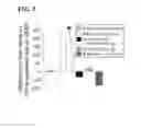 Fig. 07 - Methods and compositions for treating pain