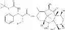 Fig. 35 - NANOPARTICLE FORMULATIONS AND USES THEROF