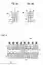 Fig. 04 - Molded article transferring device and blow molding device
