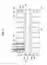 Fig. 16 - Molded article transferring device and blow molding device