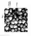 Fig. 04 - Double-structured tissue implant and a method for preparation and use thereof