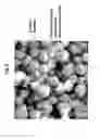 Fig. 05 - Double-structured tissue implant and a method for preparation and use thereof