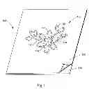 Fig. 02 - Web substrate having optimized emboss design