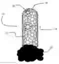 Fig. 01 - SINGLE WALL CARBON NANOTUBE PURIFICATION PROCESS AND IMPROVED SINGLE WALL CARBON NANOTUBES