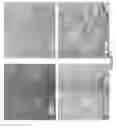 Fig. 02 - SINGLE WALL CARBON NANOTUBE PURIFICATION PROCESS AND IMPROVED SINGLE WALL CARBON NANOTUBES