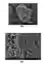 Fig. 02 - Lithium ion battery graphite negative electrode material and preparation method thereof