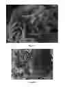 Fig. 02 - Nano silicon-carbon composite material and preparation method thereof