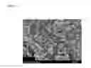 Fig. 06 - Nonaqueous electrolyte compositions