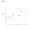 Fig. 07 - Electrode mesh galvanic cells