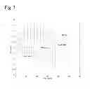 Fig. 08 - Electrode mesh galvanic cells