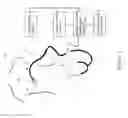 Fig. 02 - Stethoscopy training system and simulated stethoscope