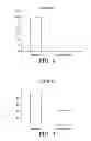 Fig. 06 - COMPOSITE TISSUE GRAFT AND MATERIALS AND METHODS FOR ITS PRODUCTION AND USE