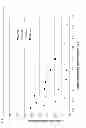Fig. 03 - Technology for purifying NK cells and other cell types by concurrent gravity sedimentation and magnetic separation