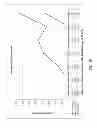 Fig. 15 - Identification of protective antigenic determinants of porcine reproductive and respiratory syndrome virus and uses thereof
