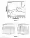 Fig. 02 - Method of detecting and/or quantifying an analyte in a biological sample