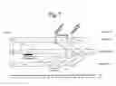 Fig. 09 - Rapid detection of the “high virulent” ST-17 clone of group B 