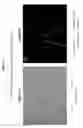 Fig. 09 - Method and quality control molecular based mouse embryo assay for use with in vitro fertilization technology