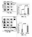 Fig. 02 - Cancer screening by detection of ultrastructural and molecular markers