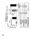Fig. 09 - Cancer screening by detection of ultrastructural and molecular markers