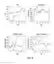 Fig. 09 - Advanced detection of sepsis