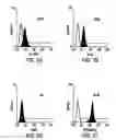 Fig. 08 - Methods of isolating bipotent hepatic progenitor cells