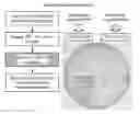 Fig. 01 - CONTROLLING O-GLYCOSYLATION IN LOWER EUKARYOTES