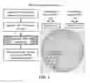 Fig. 02 - CONTROLLING O-GLYCOSYLATION IN LOWER EUKARYOTES