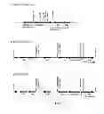 Fig. 07 - Modified strains
