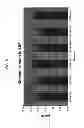 Fig. 09 - ENHANCED ETHANOL FERMENTATION USING BIODIGESTATE