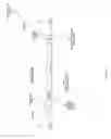 Fig. 05 - Genetically inducible hydrogen peroxide resistance and production