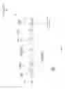 Fig. 09 - Genetically inducible hydrogen peroxide resistance and production