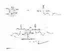 Fig. 02 - Synthesis, capping and dispersion of nanocrystals