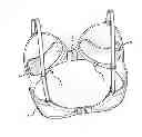 Fig. 01 - Disposable push-up bra liner