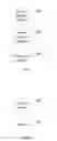 Fig. 08 - Method for displaying splash screen content, terminal, content server, and system therefor