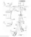 Fig. 02 - Advanced social networking